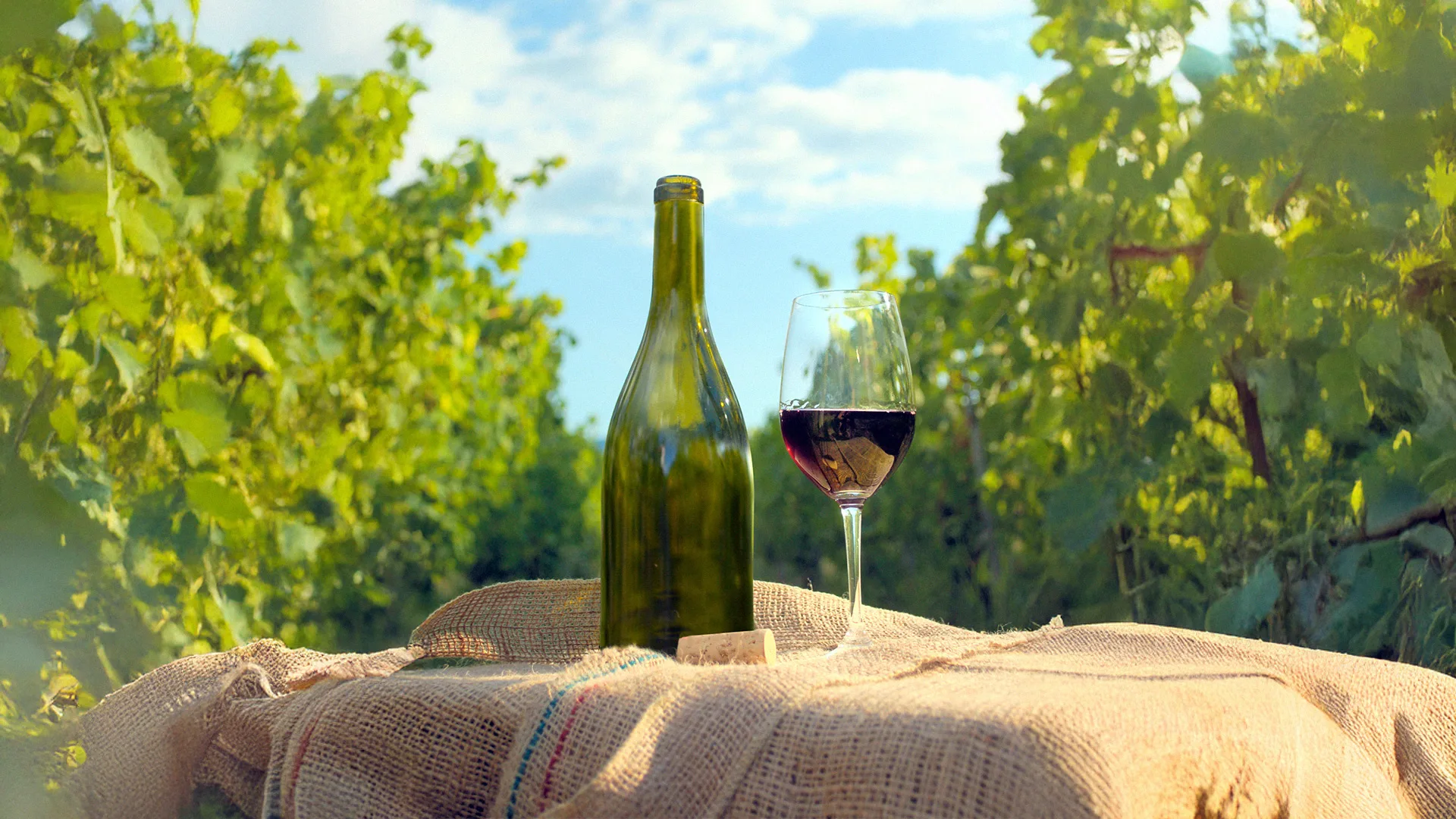06.13 | Open Afternoon of Discovery: A Journey Through the World of French Sparkling Wines
