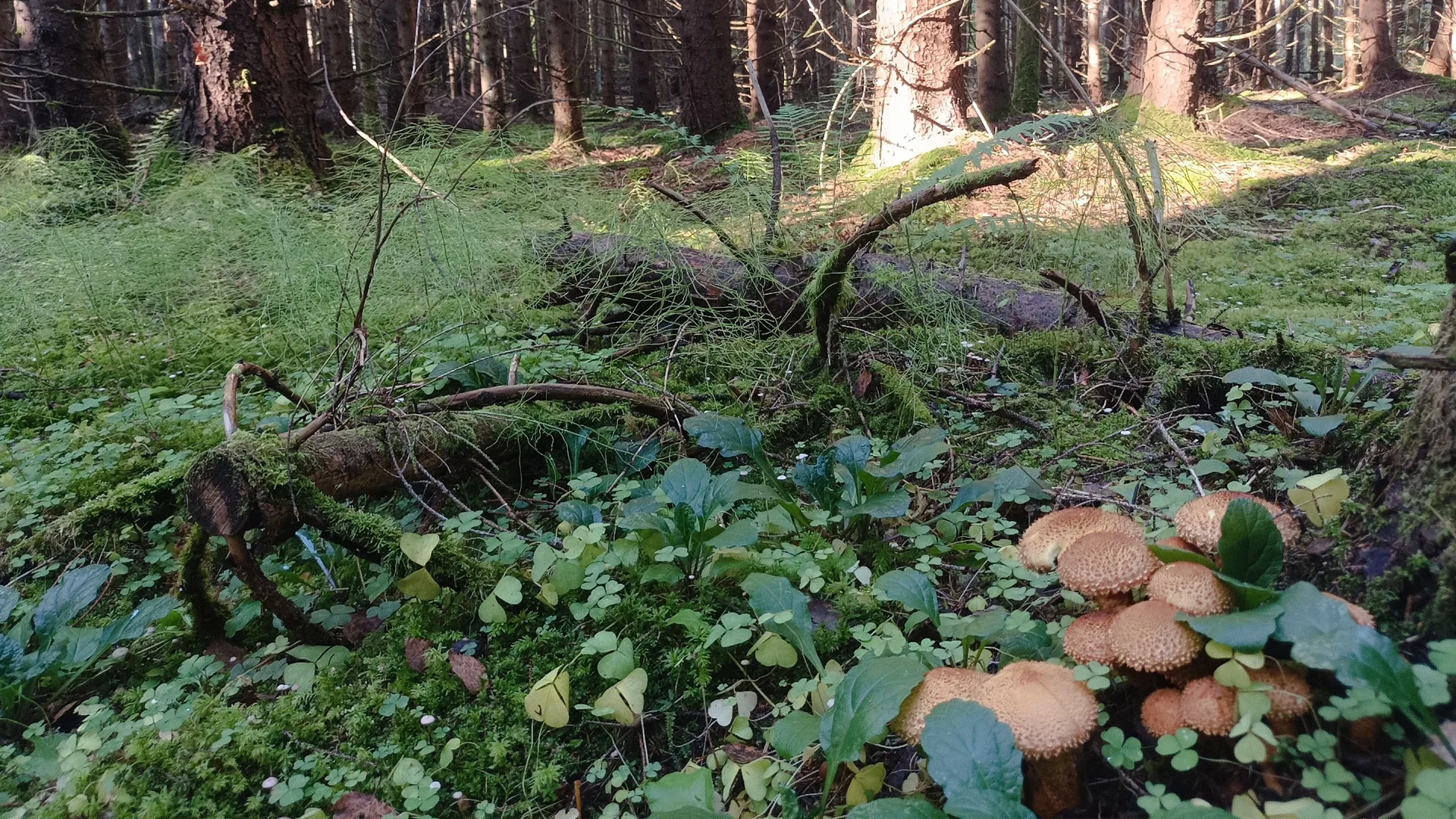 09.26 | HIKE “TASTE THE LANDSCAPE”
