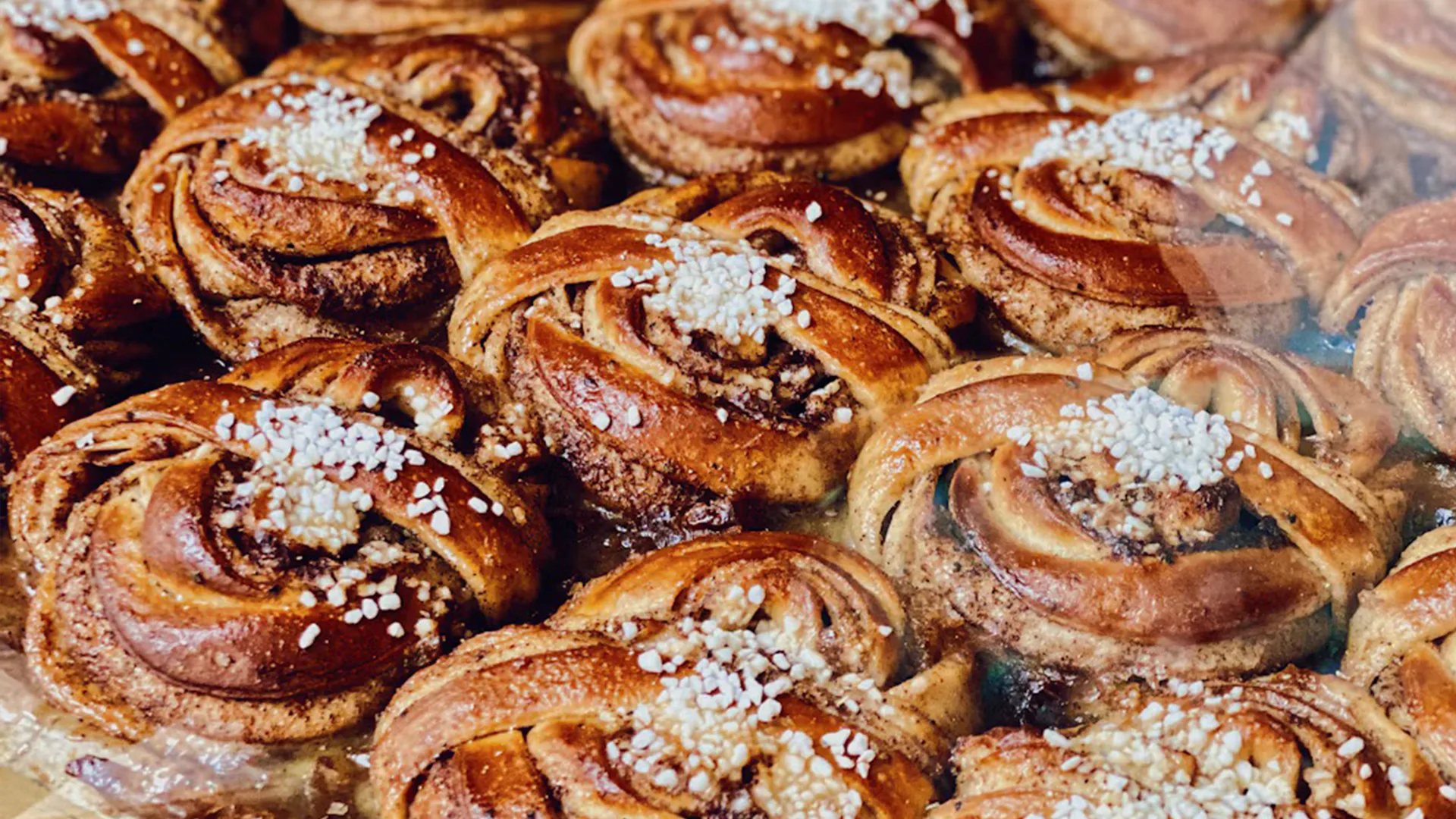11.14 | Bun Pie Baking Workshop